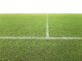 Soccer line in green grass of soccer field photo