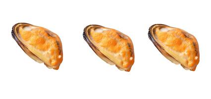 Top view set of steamed or cooked delicious green mussel meat isolated on white background with clipping path photo