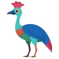 Cassowary bird stands kawaii vector