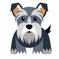 Cesky Terrier dog stands kawaii vector