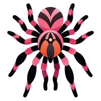Chilean Rose Tarantula reading kawaii vector