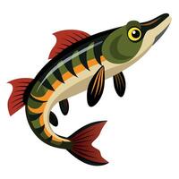 Clearnose Skate fish stands kawaii vector