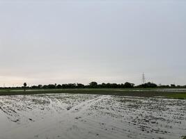 Flooded Field Under Dramatic Sky with Power Lines photo
