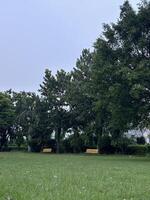 Serene Park with Empty Benches photo