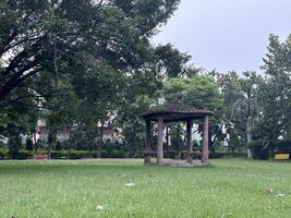 A Tranquil Park with a Gazebo photo