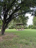 Serene Park Gazebo Surrounded by Nature photo
