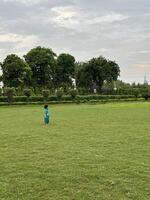 Little kid in a Green Verdant Paradise photo