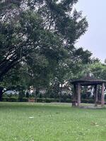 A Tranquil Park with a Gazebo photo
