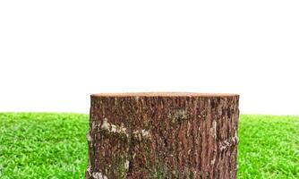 Empty old stump table with blurred garden to display products white background photo