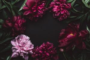 Beautiful peonies frame in dark colors. Black Floral background. Festive flowers concept. Soft focus, copy space photo