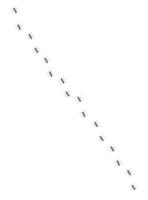 Hand drawn sketch ants path line vector