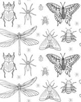 Seamless pattern of hand drawn insects vector