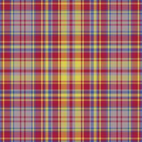 Tartan or plaid winter color pattern. vector