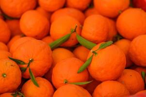 juicy fresh tangerines in boxes for sale in Cyprus in winter 23 photo