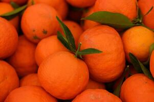 juicy fresh tangerines in boxes for sale in Cyprus in winter 21 photo