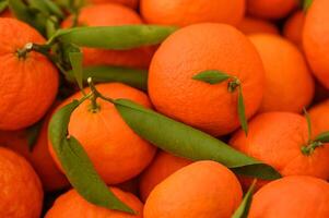 juicy fresh tangerines in boxes for sale in Cyprus in winter 24 photo