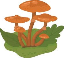 Honey mushrooms in a forest clearing. A color image of forest mushrooms on a white background. Mushrooms. illustration for children. illustration vector