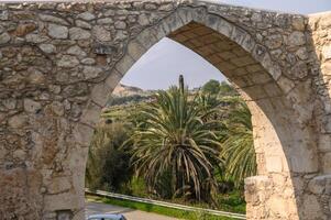 view of the date grove from the window of the old castle 2 photo
