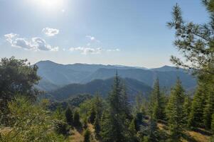 View of the fields, forest and mountains through the branches of a coniferous tree photo