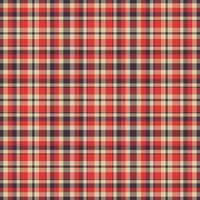 Plaid seamless pattern. background of textile ornament. Flat fabric design. vector