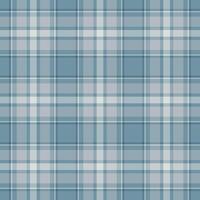Plaid seamless pattern. background of textile ornament. Flat fabric design. vector