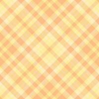 Plaid pattern . Check fabric texture. Seamless textile design for clothes, paper print. vector