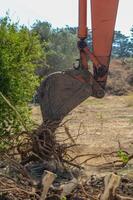 Gazeveren Cyprus 03.07.2024 - excavator uproots the roots of orange trees photo