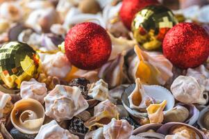 Lots of seashells and pebbles on a white background photo