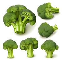 Fresh broccoli isolated on white background, top view. photo