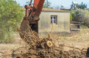 Gazeveren Cyprus 03.07.2024 - excavator uproots the roots of orange trees photo