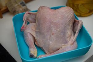 chicken washed before cooking in a tray in the kitchen 8 photo