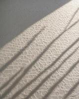 Aesthetic shadow overlay on the white wall. Sunlight forms shadows from tree branches on the wall. AI-Generated photo