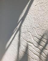 Aesthetic shadow overlay on the white wall. Sunlight forms shadows from tree branches on the wall. AI-Generated photo