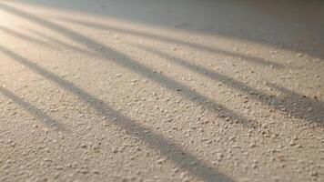 Aesthetic shadow overlay on the white floor. Sunlight falls on the surface to form shadows from tree branches. AI-Generated photo