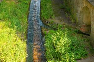 stream of water flows through a grassy area photo