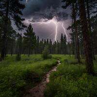 Cloudy Thunder Thunderstorm lightning bolt in the forest photo