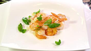 Shrimps in a container for cooking sushi. close up fresh shrimps or prawns , Seafood shellfish. video