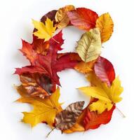 Colorful Autumn Leaves Forming Number Six on White Background photo
