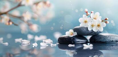 Black Stones Stacked With White Flowers Beside Water in Serene Environment photo