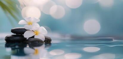 Black Stones Stacked With White Flowers Beside Water in Serene Environment photo