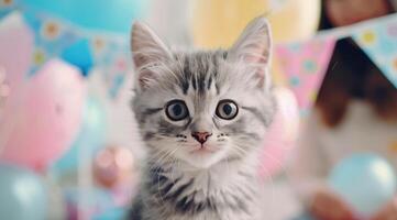 Playful Kitten Surrounded by Colorful Balloons at a Celebration photo