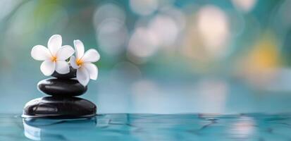 Serene Spa Setting With Smooth Stones and Flower on Tranquil Water Surface photo