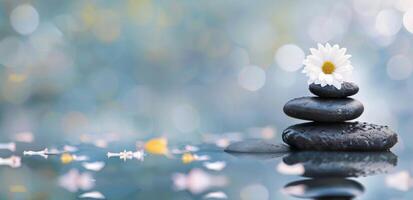 Serene Spa Setting With Smooth Stones and Flower on Tranquil Water Surface photo