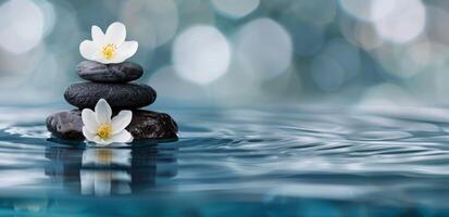 Serene Spa Setting With Smooth Stones and Flower on Tranquil Water Surface photo
