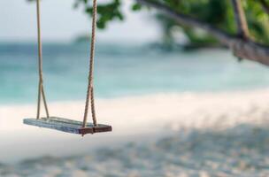 Seaside Wooden Swing Hanging From Tree During Bright Daylight photo