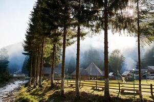 karpathian forest one High quality photo