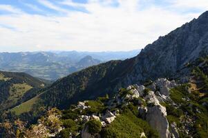 alps one High quality photo