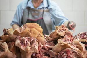 Slaughterhouse. Sliced pork heads on a butcher's background. Pork meat processing photo