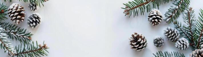 Snowy Pine Cones and Evergreen Branches on a White Background photo