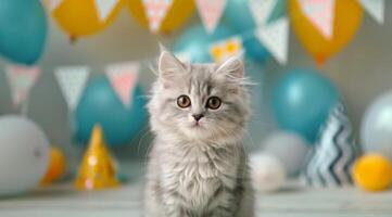 Fluffy Silver Kitten Surrounded by Balloons and Decorations at a Celebration photo